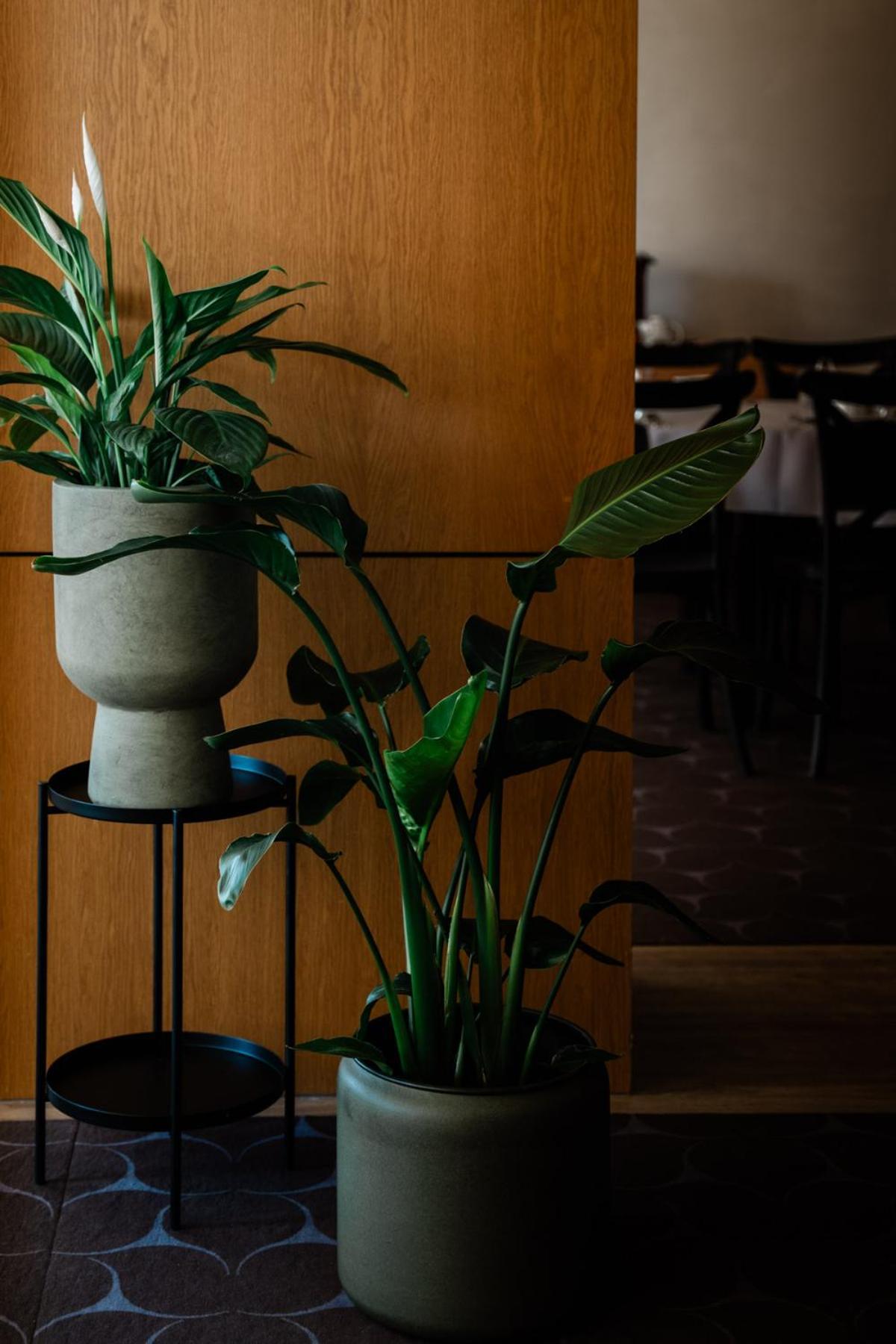 גיז'יצקו Hotel Wodnik מראה חיצוני תמונה